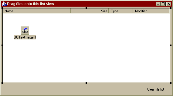Design-time form image
